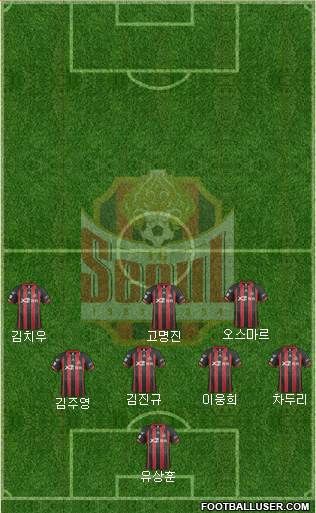 FC Seoul Formation 2014