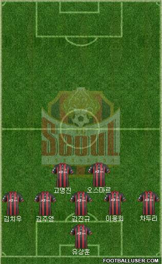 FC Seoul Formation 2014