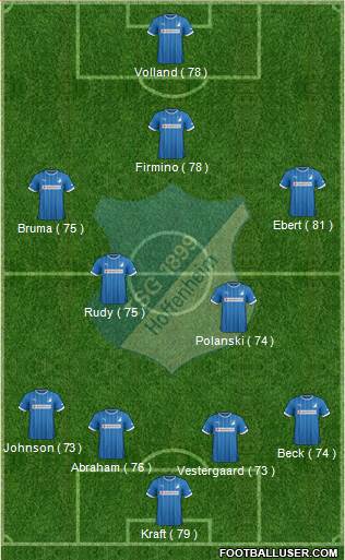 TSG 1899 Hoffenheim Formation 2014