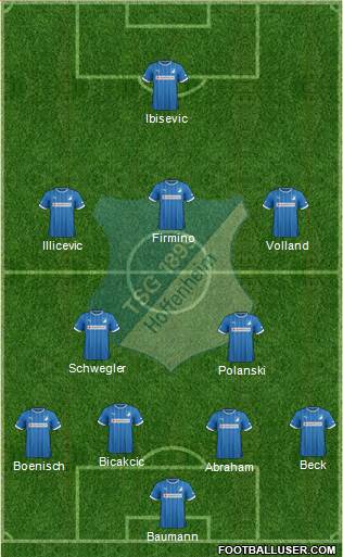 TSG 1899 Hoffenheim Formation 2014