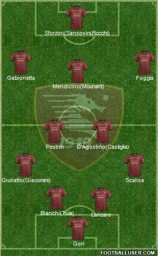 Salernitana Formation 2014