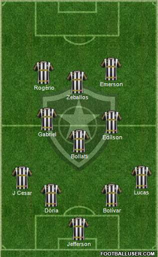 Botafogo FR Formation 2014