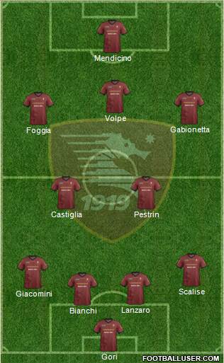 Salernitana Formation 2014