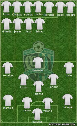 Dinamo Tbilisi Formation 2014