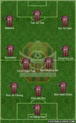 FC Seoul Formation 2014