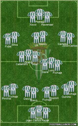 Córdoba C.F., S.A.D. Formation 2014