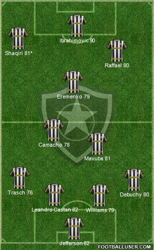 Botafogo FR Formation 2014