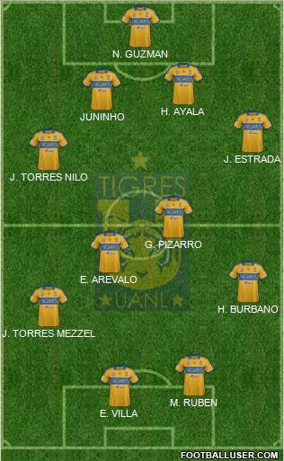 Club Universitario de Nuevo León Formation 2014