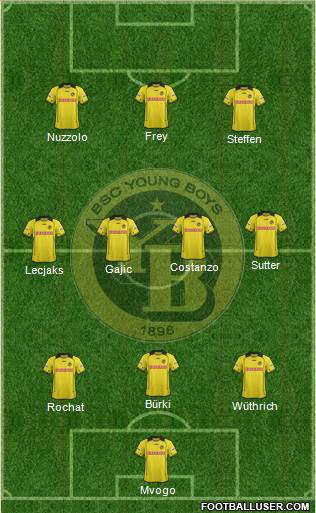 BSC Young Boys Formation 2014