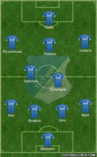 TSG 1899 Hoffenheim Formation 2014