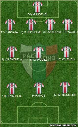 CD Palestino S.A.D.P. Formation 2014