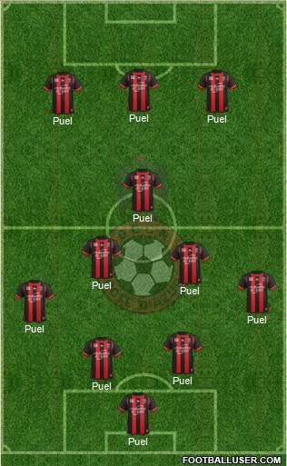 OGC Nice Côte d'Azur Formation 2014