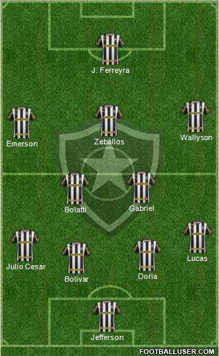 Botafogo FR Formation 2014