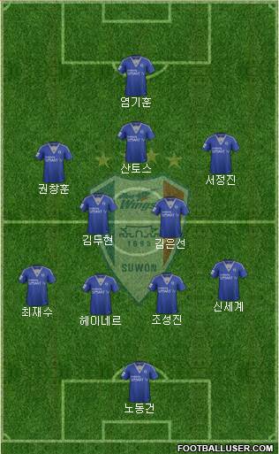 Suwon Samsung Blue Wings Formation 2014