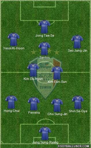 Suwon Samsung Blue Wings Formation 2014