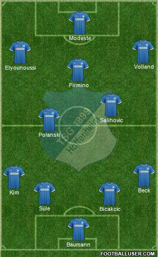 TSG 1899 Hoffenheim Formation 2014