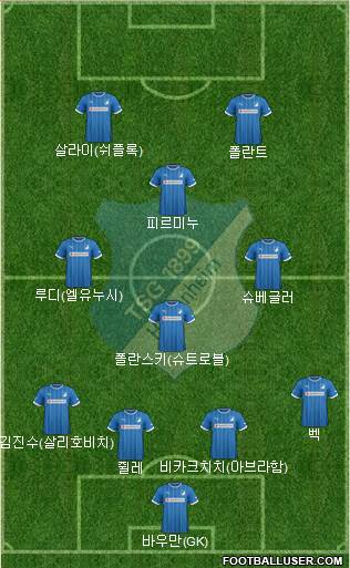 TSG 1899 Hoffenheim Formation 2014