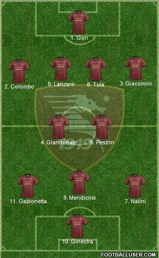 Salernitana Formation 2014