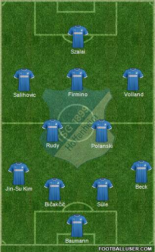 TSG 1899 Hoffenheim Formation 2014