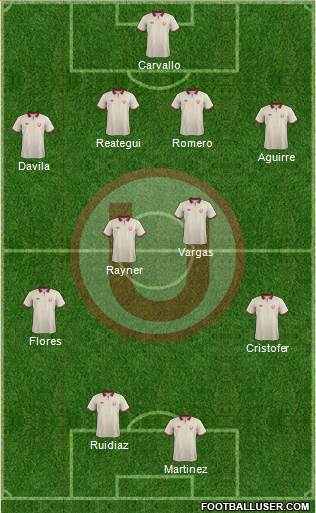 C Universitario D Formation 2014