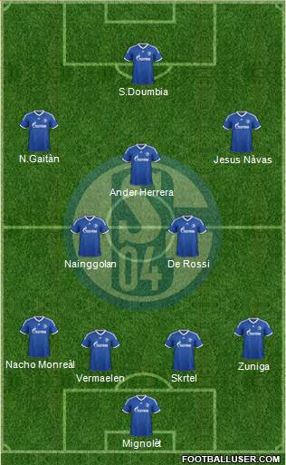 FC Schalke 04 Formation 2014