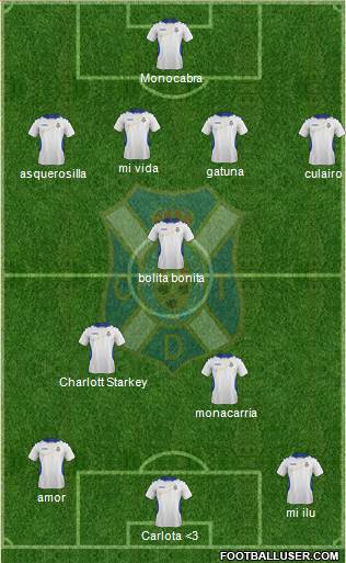 C.D. Tenerife S.A.D. Formation 2014