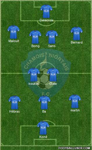 Chamois Niortais Football Club Formation 2014