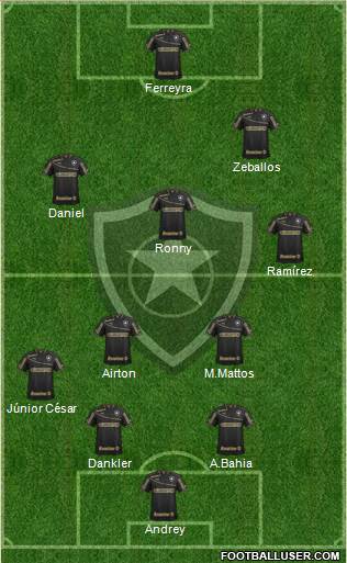 Botafogo FR Formation 2014