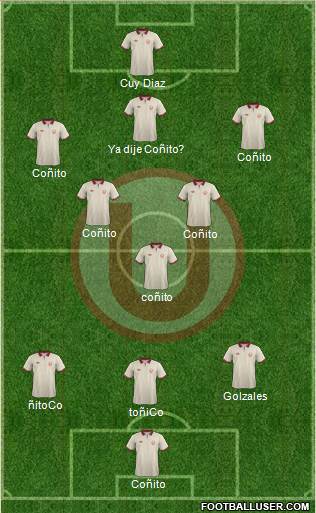 C Universitario D Formation 2014