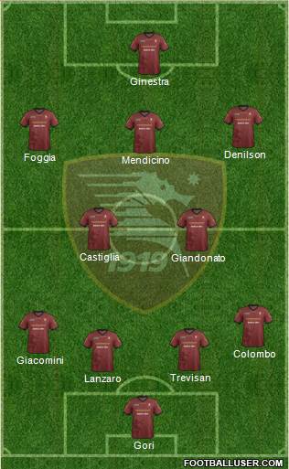 Salernitana Formation 2014