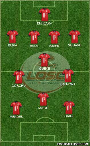 LOSC Lille Métropole Formation 2014