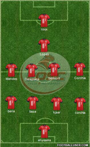 LOSC Lille Métropole Formation 2014