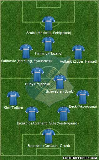 TSG 1899 Hoffenheim Formation 2014