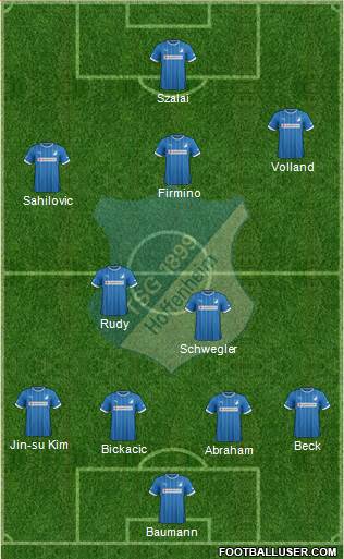 TSG 1899 Hoffenheim Formation 2014