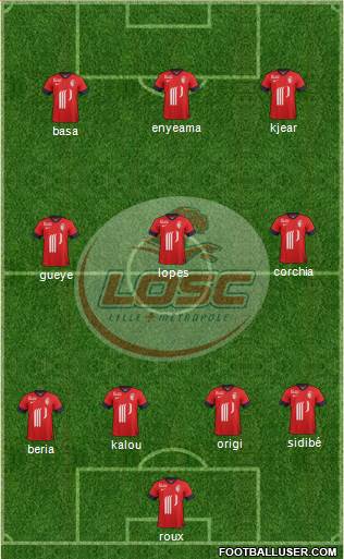 LOSC Lille Métropole Formation 2014