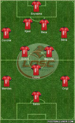 LOSC Lille Métropole Formation 2014