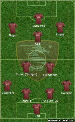 Salernitana Formation 2014