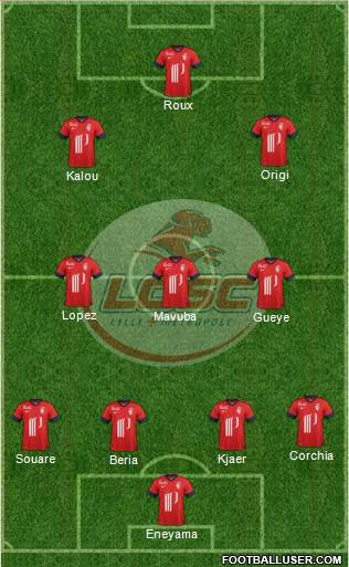 LOSC Lille Métropole Formation 2014