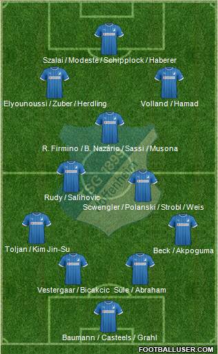 TSG 1899 Hoffenheim Formation 2014