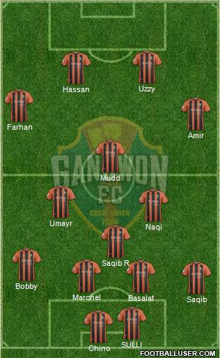 Gangwon FC Formation 2014