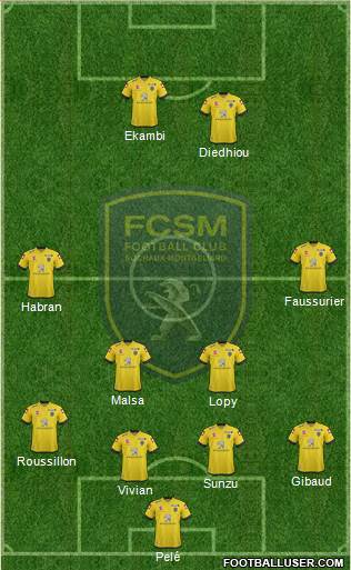 FC Sochaux-Montbéliard Formation 2014