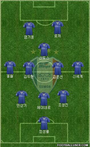 Suwon Samsung Blue Wings Formation 2014