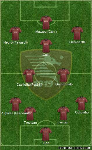 Salernitana Formation 2014