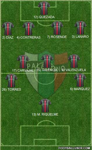 CD Palestino S.A.D.P. Formation 2014