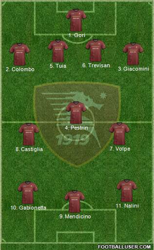 Salernitana Formation 2014