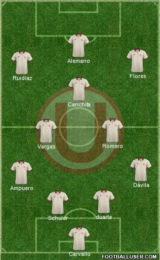 C Universitario D Formation 2014