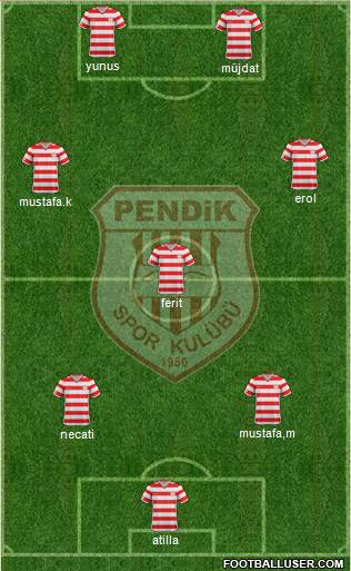 Pendikspor Formation 2014