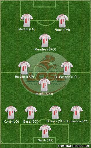 LOSC Lille Métropole Formation 2014