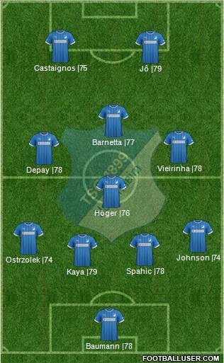 TSG 1899 Hoffenheim Formation 2014