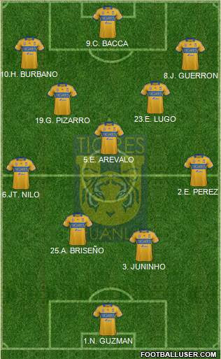 Club Universitario de Nuevo León Formation 2014